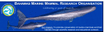 Bahamas Marine Mammal Research Organisation